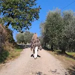 In Tuscany With View And Swimming Pool Дом отдыха Rapale