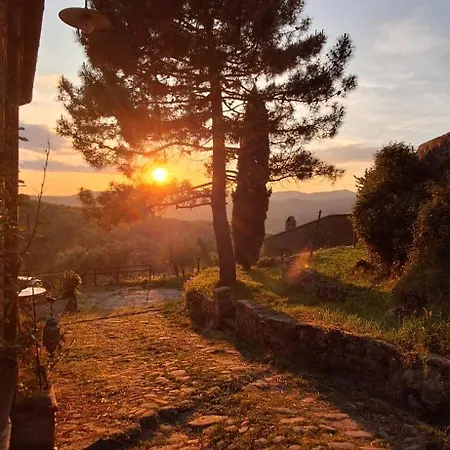 Дом отдыха In Tuscany With View And Swimming Pool Rapale